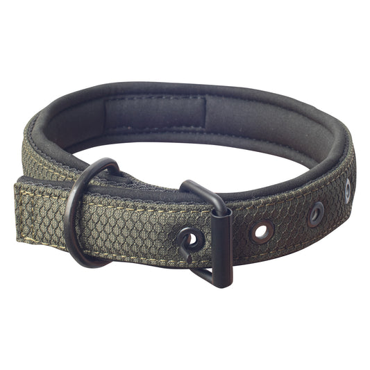 Collar para Perro Discovery Suricata color Verde