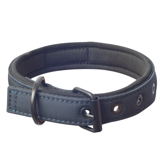 Collar para Perro Discovery Suricata color Azul