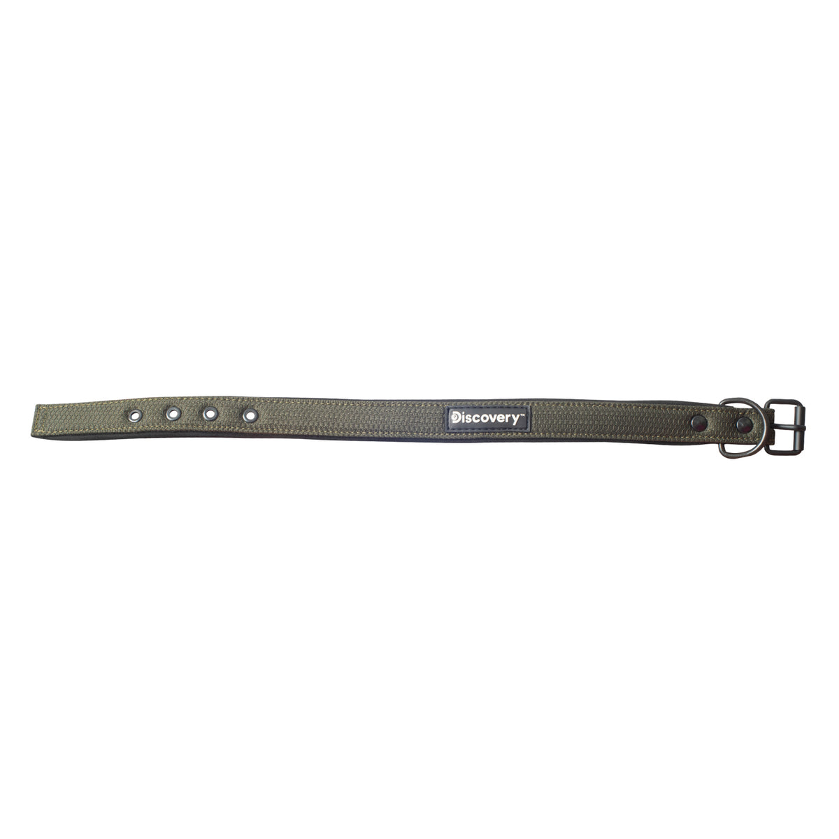 Collar para Perro Discovery Suricata color Verde