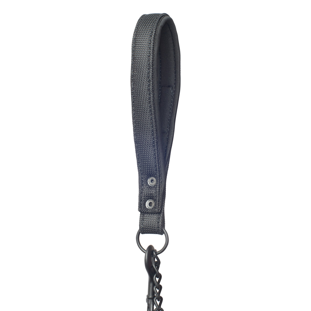 Cadena para Perro Discovery Petauro color Negro