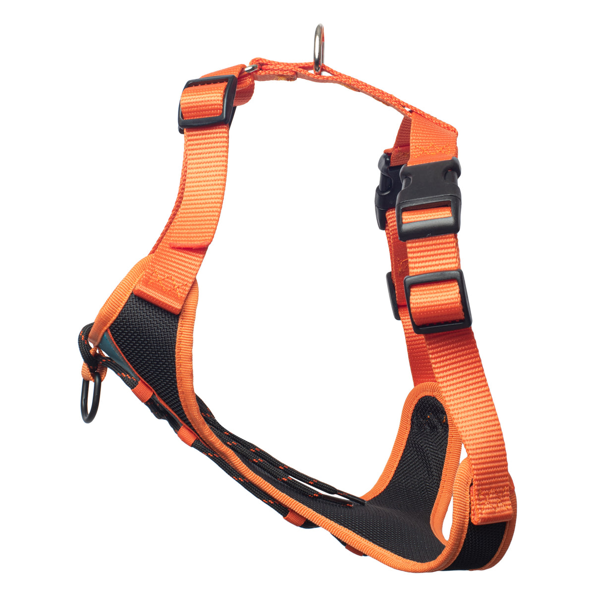 Pechera para Perro Discovery Serval color Naranja/Azul