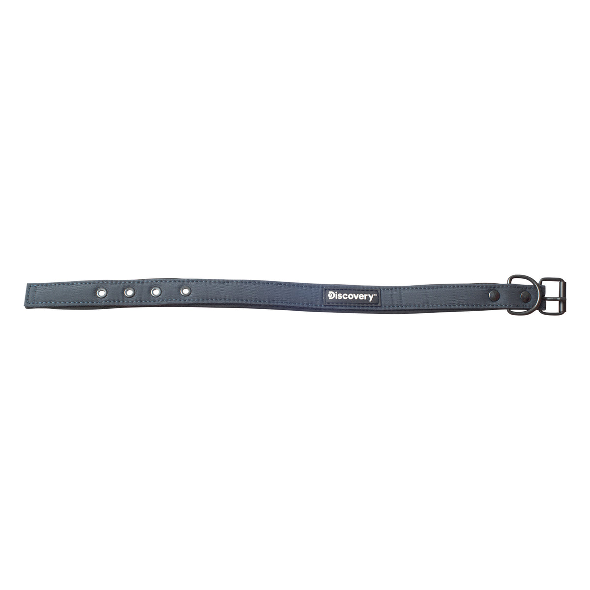 Collar para Perro Discovery Suricata color Azul