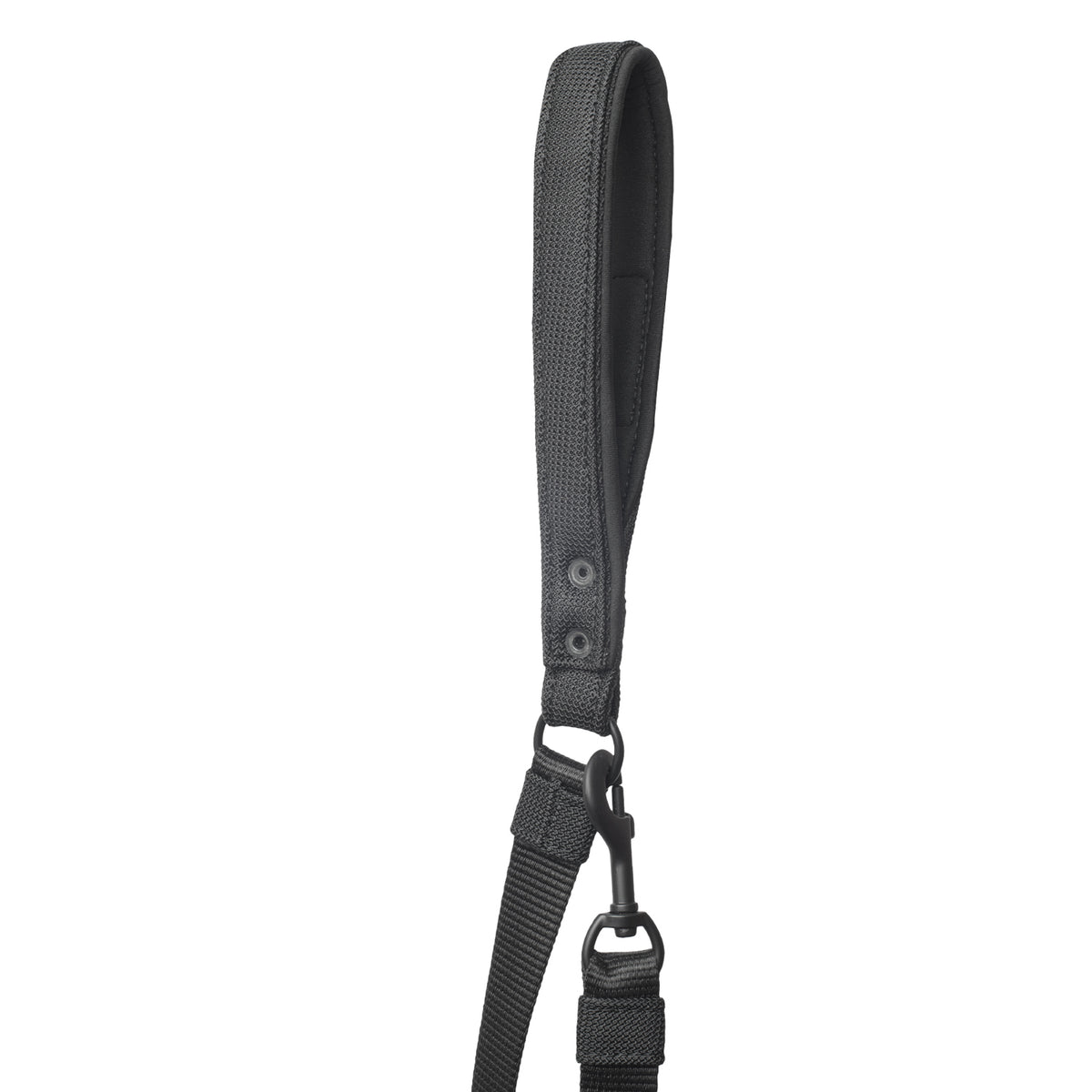 Correa para Perro Discovery Xenopus color Negro