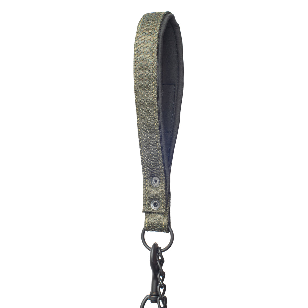Cadena para Perro Discovery Petauro color Verde